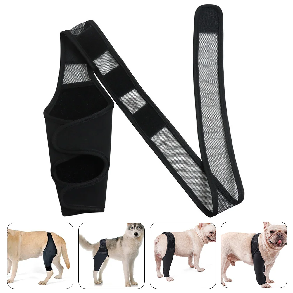 

Dog Leg Brace Dogs Support Sleeve Knee Protector Forelegstep Hock Wraps Joint Canine Rearlegs Hind Front Pet Recoverypuppy