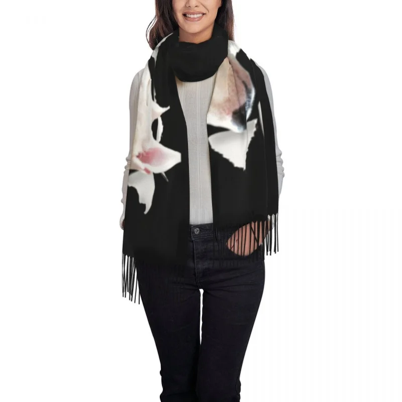 Рисунок 2 - Забавный шарф с принтом Бультерьера на заказ