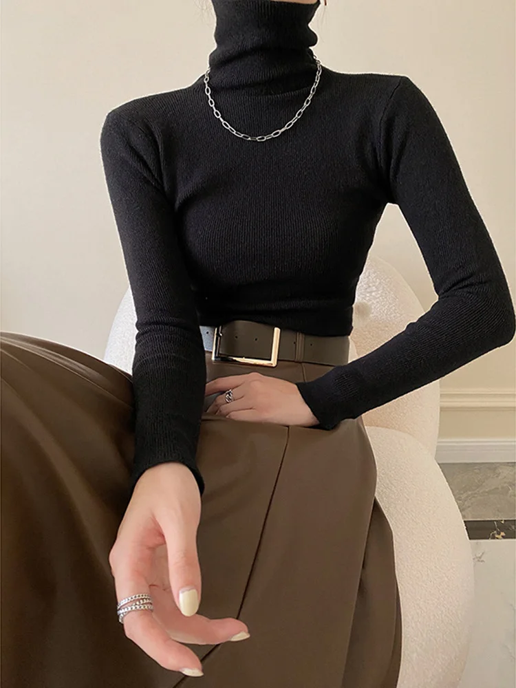 

Black Slim Knitting Sweater Loose Fit Turtleneck Long Sleeve Women Pullovers New Fashion Tide Autumn Winter 2022 C402