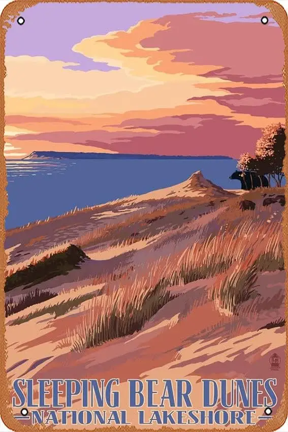 Жестяной знак винтажный спальный медведь дюмы Национальный лакешхор Мичиган