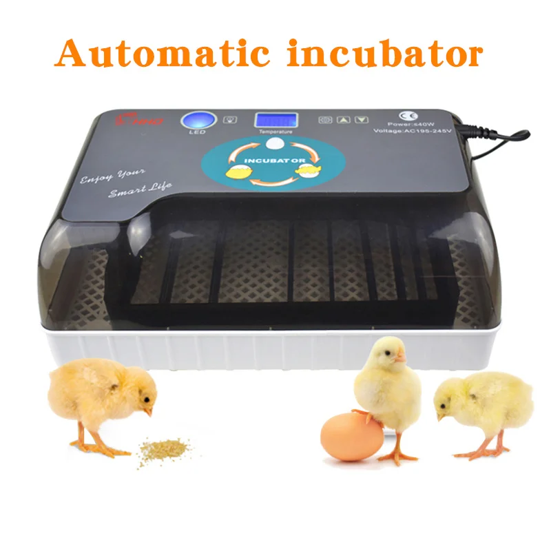 

Household Automatic Incubator Brooder Farm Hatchery Machine 12 Eggs Hatcher Chicken Egg Incubator Goose Bird Quail Brooder