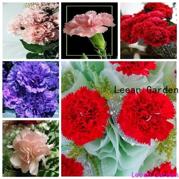 

200 шт., разноцветные гвоздики