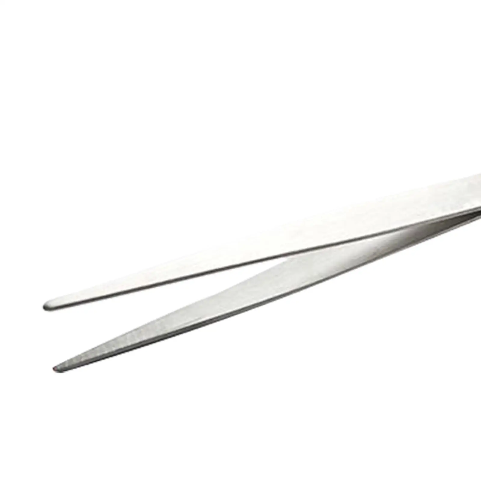 

Stainless Steel Taste Scoop 20 5cm for Kitchen Accessories Fruit Party