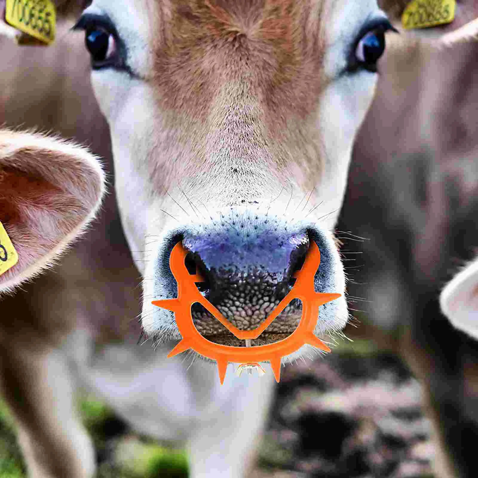 8 Pcs Bull Nose Ring Calf Accessories Cow Weaner Large Cattle Supplies Iron Farm Animal