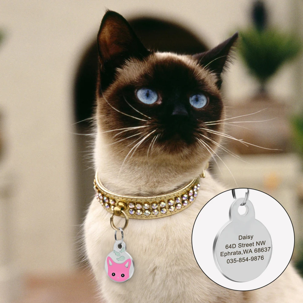 Cute Cat Tag Small Dog ID Tags Free Engraved Name Cats Kitten Name Tag Anti-lost Pet Collar Pendant Fish Shape&Cat Face Tags images - 6