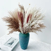 80 pcs natural dry pampas reed dried flower bouquet small reed small brush pampas reed real flower set wedding home decoration