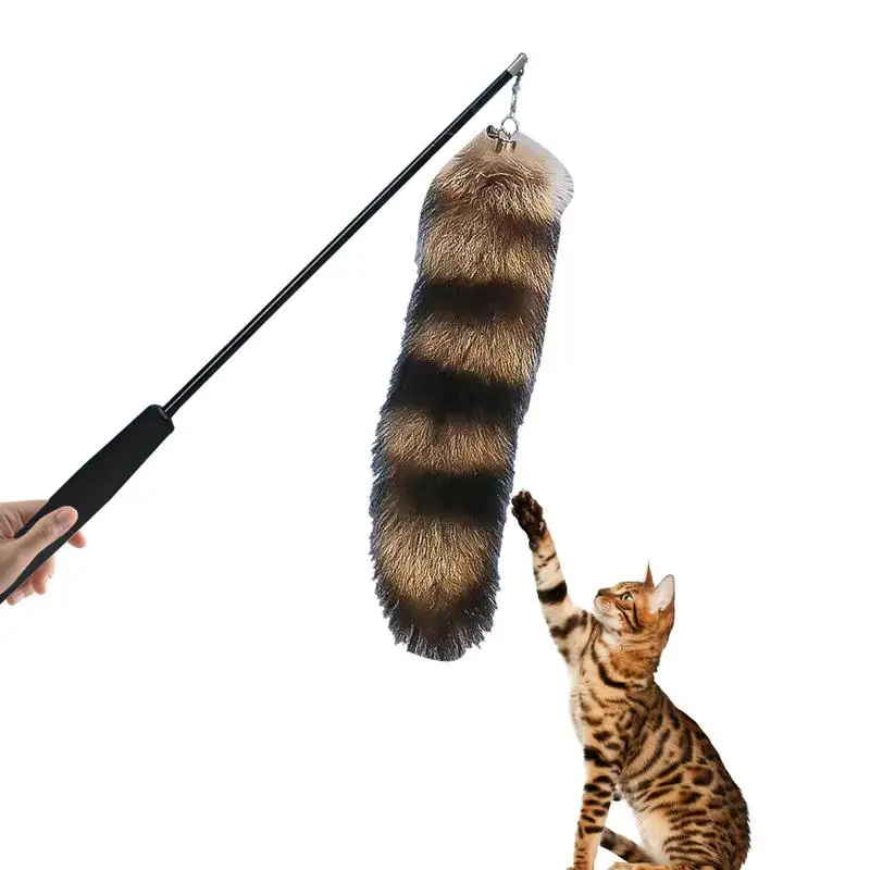 

Cat Wand Toy Interactive Cat Toy Retractable Cat Wand Toy Interactive Cat Wand Toys For Cats Dancer Teaser Pack Funny