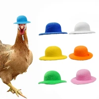 chicken hat for hens tiny pets funny chicken accessories hen top hat for rooster duck parrot hamster poultry stylish show costum