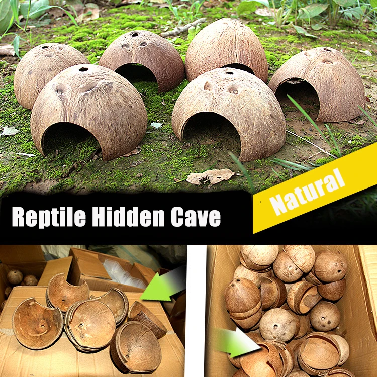 

Reptile Hidden Cave Natural Coconut Shell Lizard Gecko Spider Scorpion Hermit Crab Pet Snake Box Landscaping Decorations
