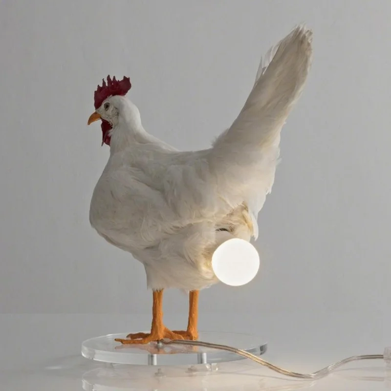 

Chick Night Light Home Decor Ornaments Taxidermy Chicken Eggs Lamp Exists And We Begrudgingly Love It Creative Night Lamp 2022