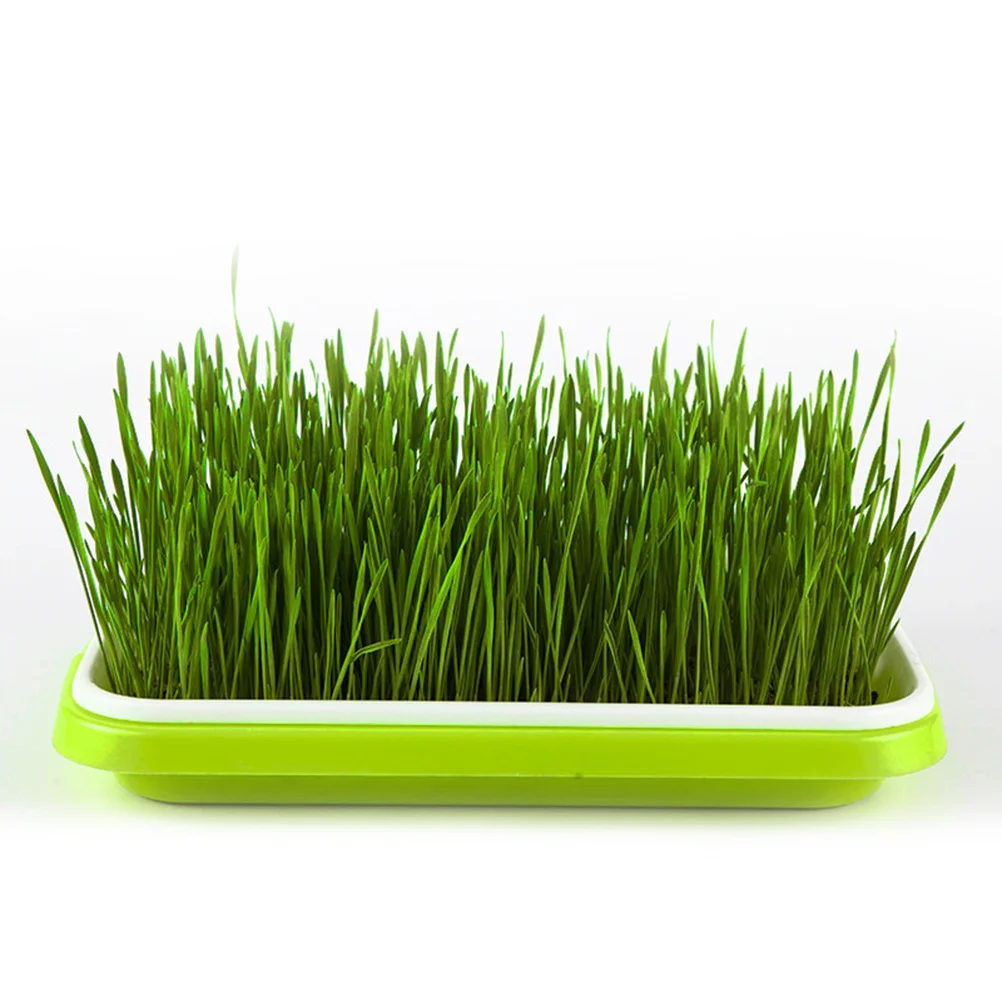

Tray Trays Germination Growing Kit Grower Sprouting Sprouter Wheatgrass Starter Bean Sprout Nursery Microgreens Sprouts