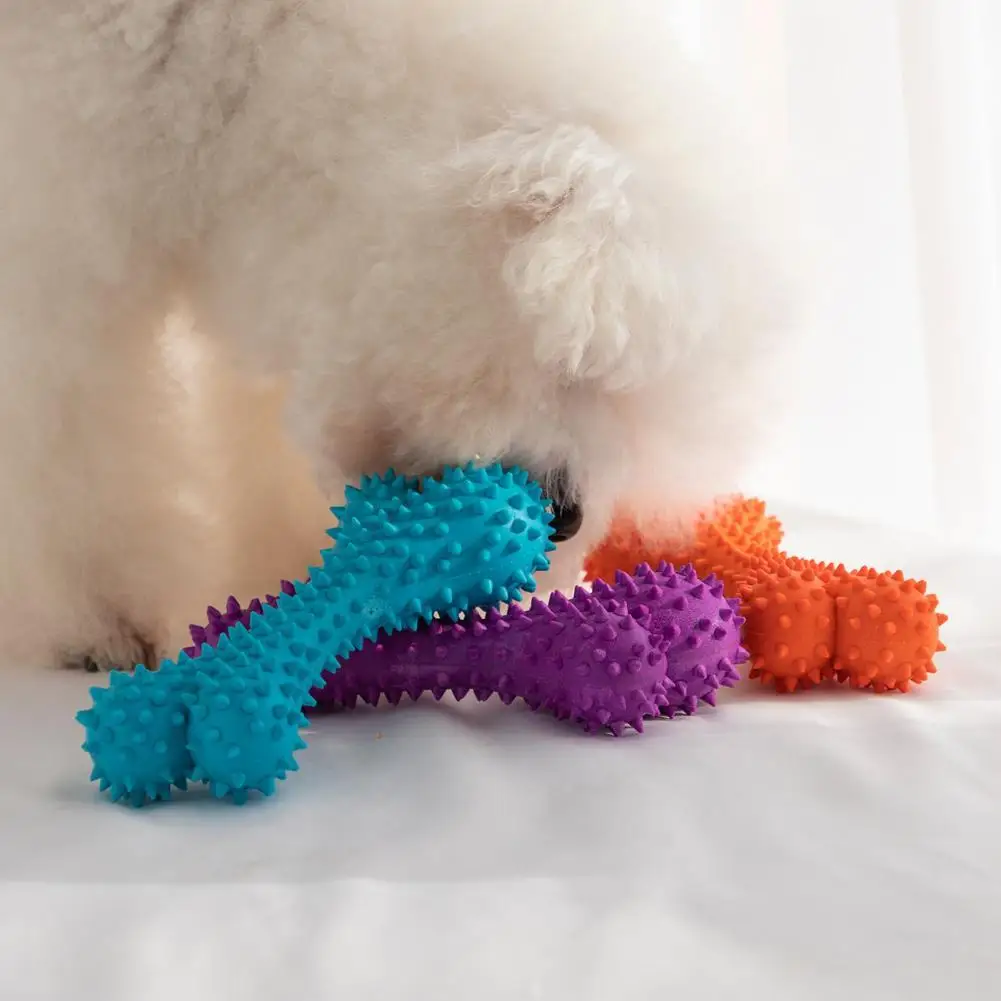 

Dog Toy Helpful Colored Bones Thorn Ball Dog Biting Toy Bite-resistant Interactive Bite Toy