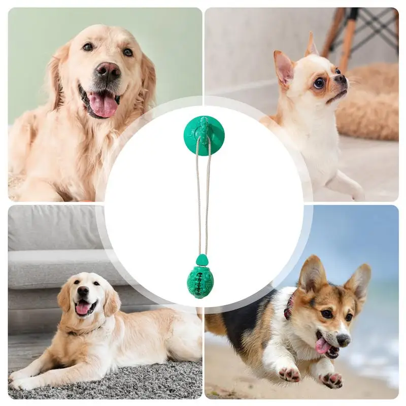 Присоска для домашних питомцев игрушка розыгрыша