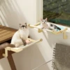 Sturdy Cat Cotton Canvas Easy Washable Multi-Ply Plywood Hammock 3