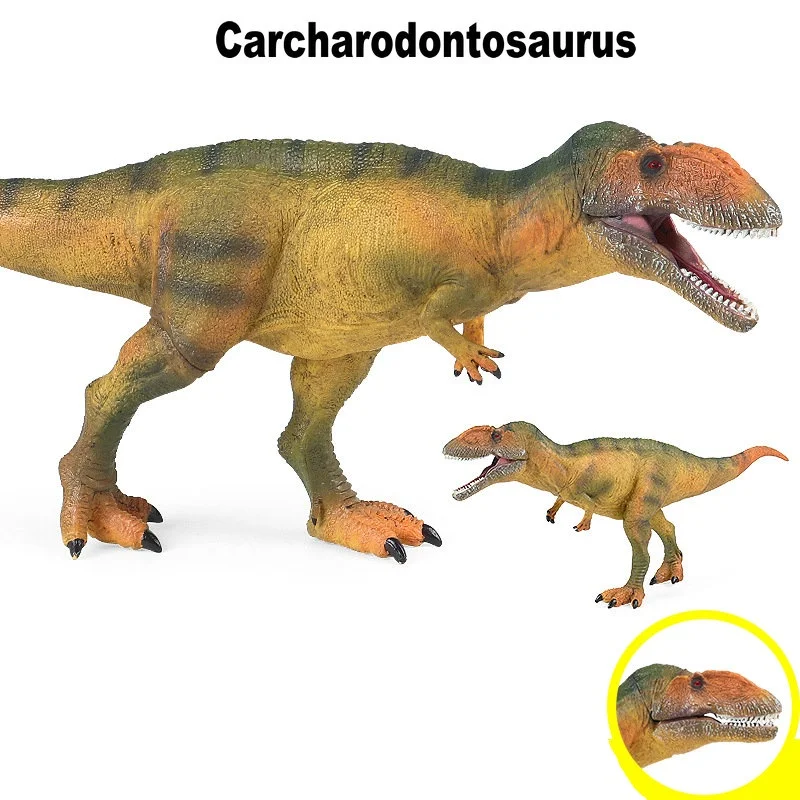 

30cm Large Carcharodontosaurus Action Figure Jurassic Dinosaur Toy Model Animal Figurine Decor Educational Learn Toys For Boys