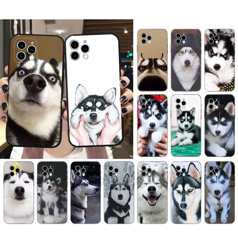 

Phone Case For iphone 14 Pro Max 13 12 11 Pro Max XS XR X 12mini 14 Plus SE Animal Husky Puppy Dog Case Funda