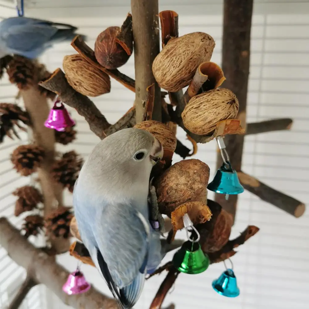 

Funny Parrot Toy Natural Wood Bird Hanging Chew Toy with Bell Cage Toy Bird Toy Bird Supplies