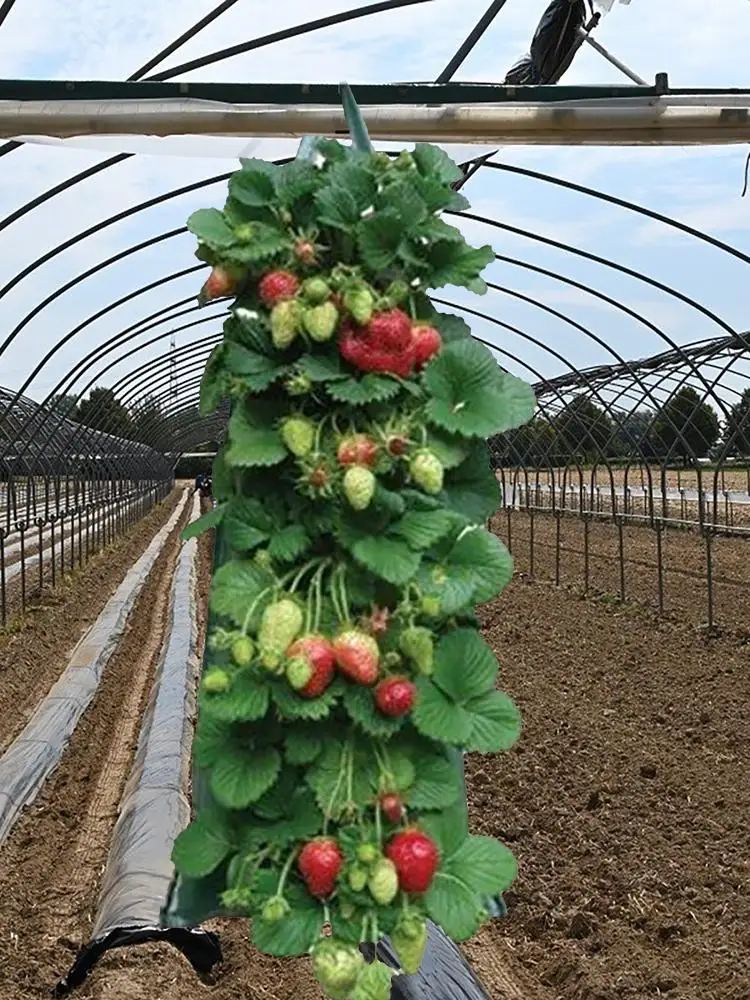 

Полиэтиленовый мешок для посадки, горшки для растений из дышащей ткани с ручками