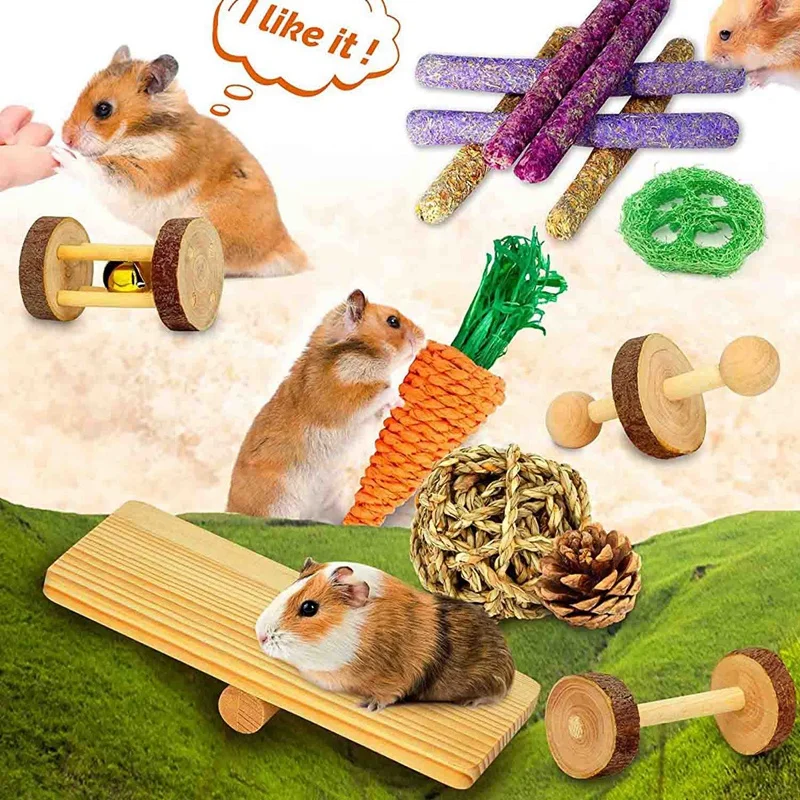 Набор игрушек из дерева для хомяков и морских свинок, 18 штук, натуральная яблоневая древесина, помогает точить зубы.