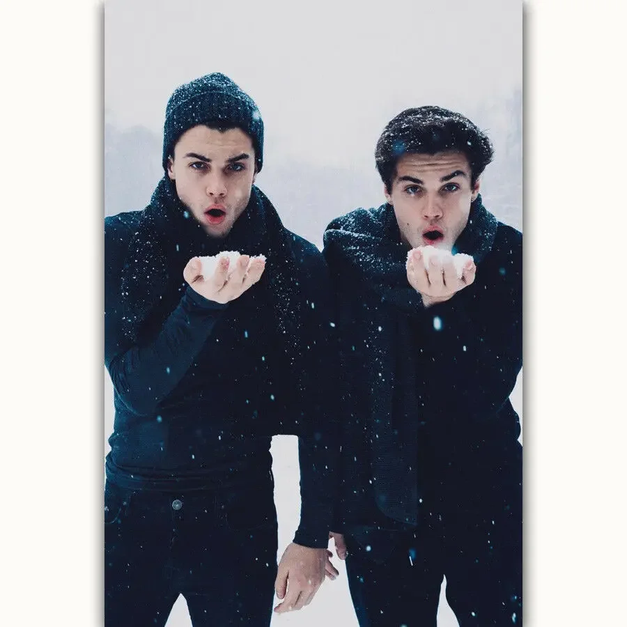 Фото J014 Dolan Twins музыкальная певица звезда шелковый плакат настенная наклейка украшение подарок №2