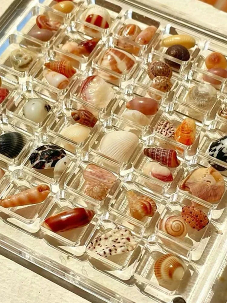 Акриловая магнитная коробка для хранения ракушек декоративная 36/64 сетки витрина
