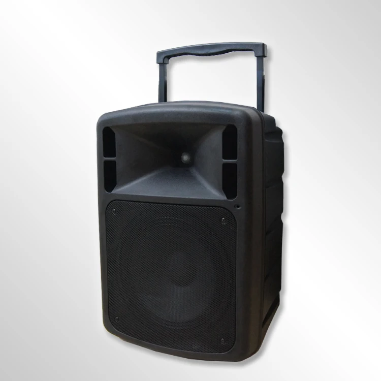 

VA-9100LG аудиоусилитель, колонки для церкви, портативный Тяговый стержень, 12-дюймовый сабвуфер, тележка, динамик с MP3/WMA