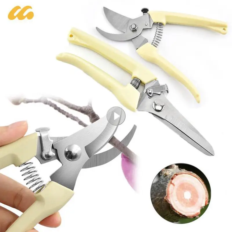 

Ножницы для садового сечения, бонсай для садоводства, ножницы из нержавеющей стали для цветов, ветвей, травы, ручные инструменты