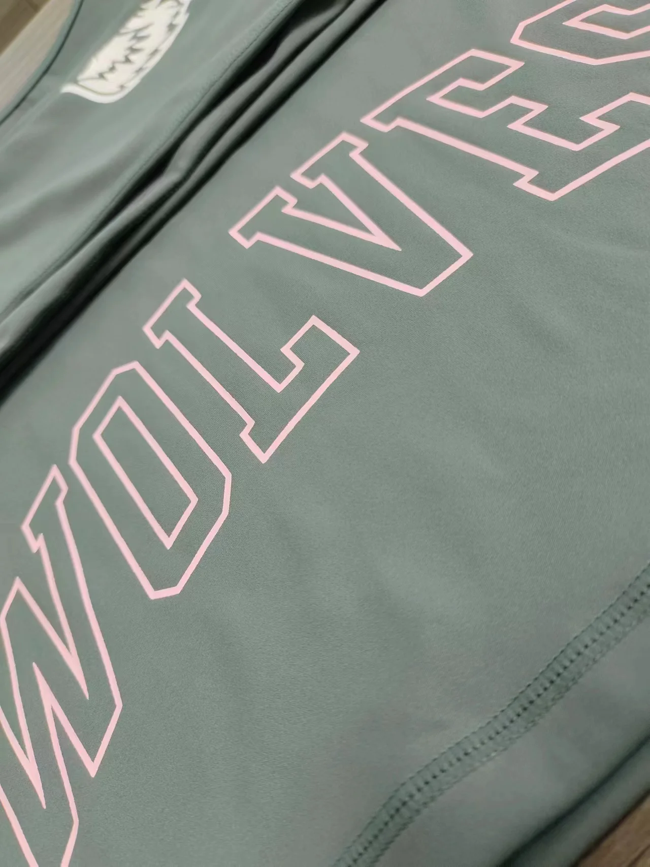 DARC Women Gym Top Fitness SHIELD EVERYDAY SPORTS Wolf Head Fitness Tight Top Long Sleeve Bra