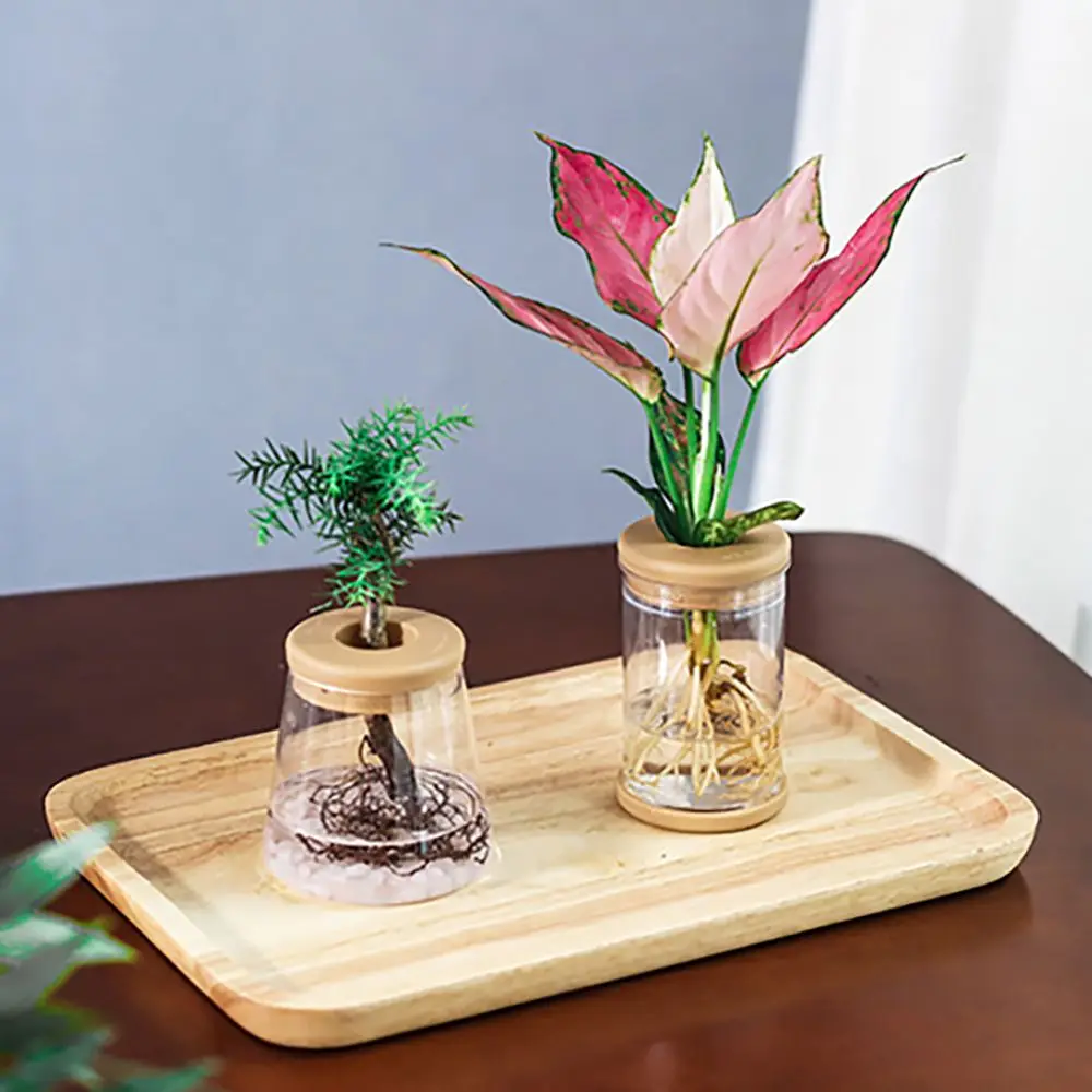 

1 pcs Glass Resin Material Aquatic Plant for Indoor Outdoor Flower Planter Home Decor Garden Supplies Hydroponic Flowerpot