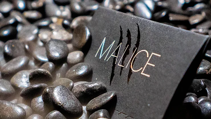 

Malice (Gimmicks and Online Instructions) by Xavior Spade Card Magic and Trick Decks Beginner Illusions Close up Magic Props Fun