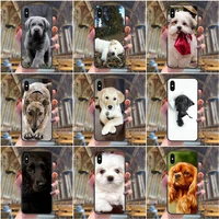 the newest for iphone 13 12 11 pro max 6 x 8 6s 7 plus xs xr mini 5s se 7p 6p i love my shar pei dog puppies accessories phone