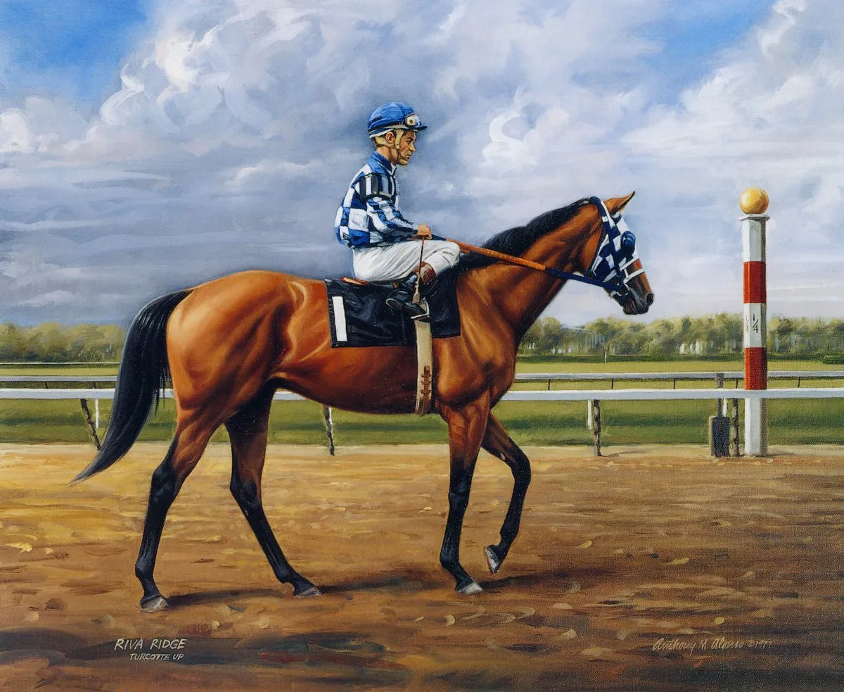 

Алмазная живопись, лошадь, пастбище, гонка, 5d, мозаика «сделай сам», полностью квадратная, круглая, сверло, Алмаз Стразы, алмазная вышивка, ка...