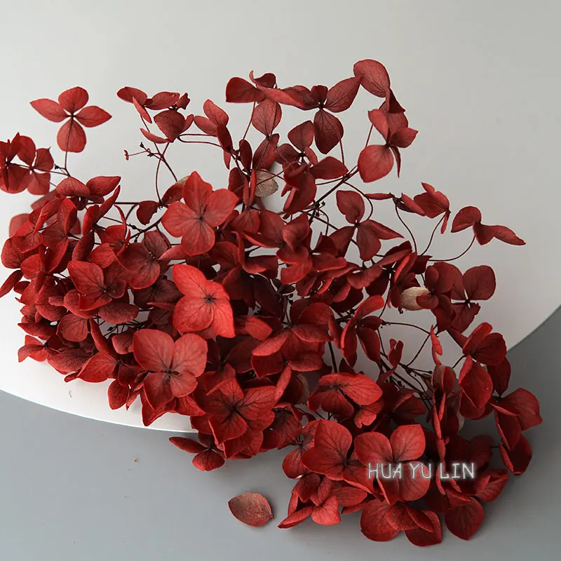 

Серьги из сухоцветов Анна Гортензия