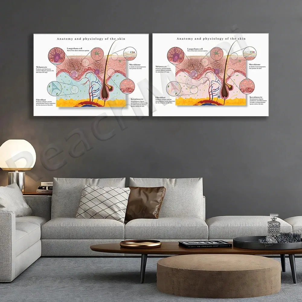 Тотомическая кожа графическая знакомство медицинский подарок