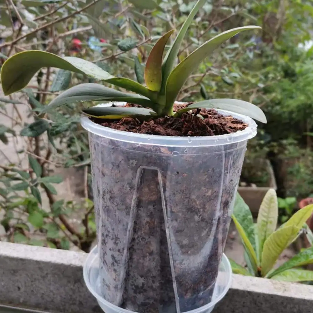 

Plant Pot Transparent Thickened Large Capacity Breathable DIY Plant Plastic Permeable Tall Flower Pot Greenery Accessories
