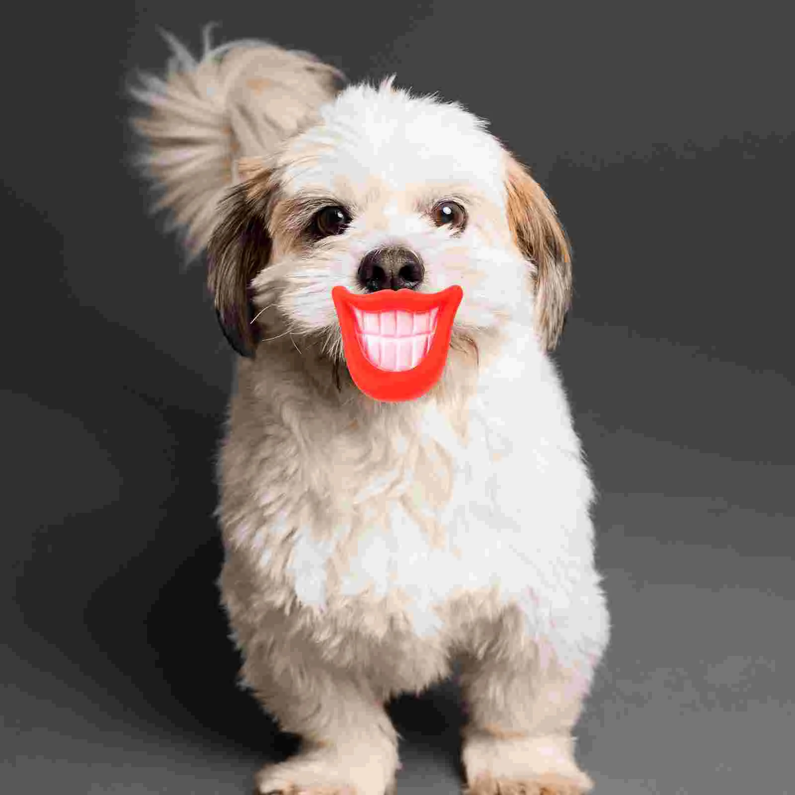 

3 Pcs Puppy Toy Chew Toys Silicone Pink Face Fangs Red Fangs Red Lip Toys Halloween Cosplay Party Favors( Random Style )