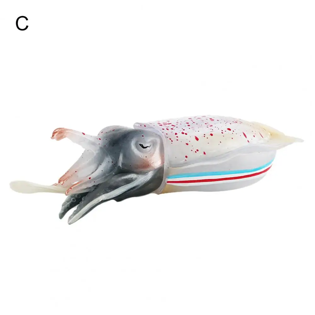 

Eco-friendly Vivid Look Belemnite Animal Figurine Mini TV Table Ornament Children Gift Sea Animal Model Animal Ornament