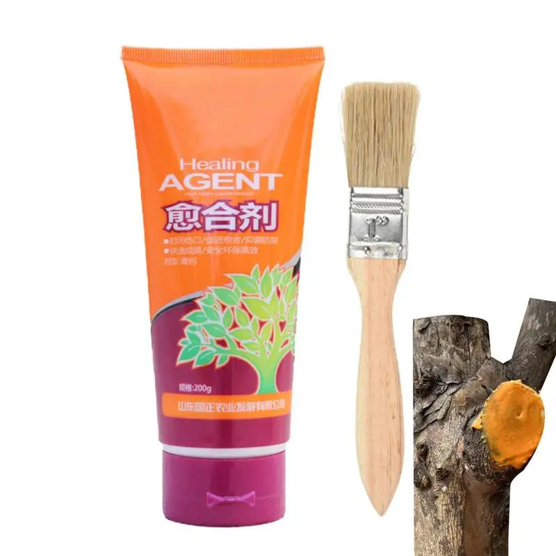 

Tree Wound Bonsai Cut Paste Smear Agent Pruning Compound Sealer With Brush Waterproof Sealant Glue Adhesion Promoter