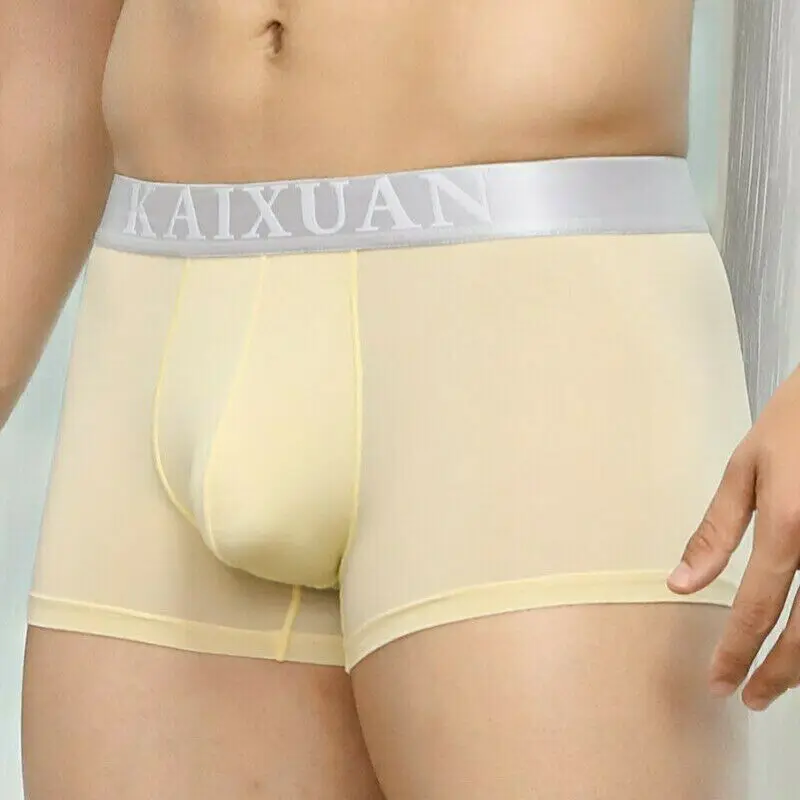 

Men's Ice Silk Boxer Briefs U Pouch Transparent Underwear Sexy Undies Panties Calsoncillos Para Bikini Hombre Mens Panties
