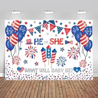 Gender Reveal Firecracker Backdrop He or She Baby Shower Birthday Newborn Fourth of July Independence Day Party Decorations