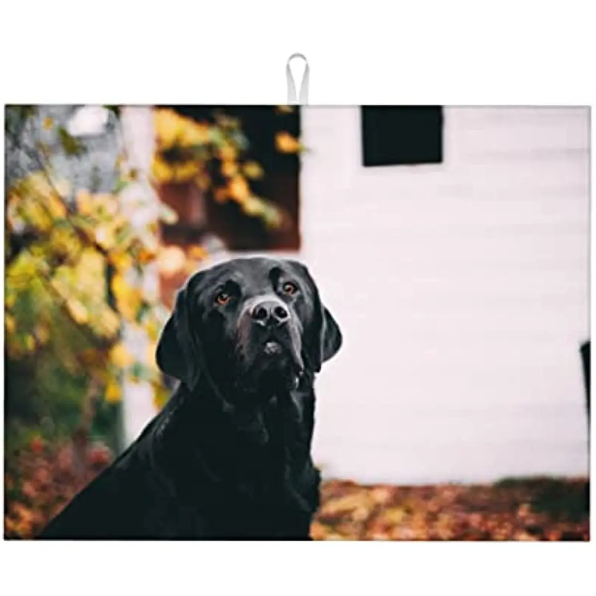 

Cute Dog Printed Kitchen Drying Mat, 18 "x 20" for Kitchen Counters, Easy To Clean, Heat Resistant Tableware Drying Pad
