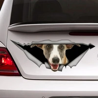 whippet car decal pet decal whippet magnet funny whippet sticker