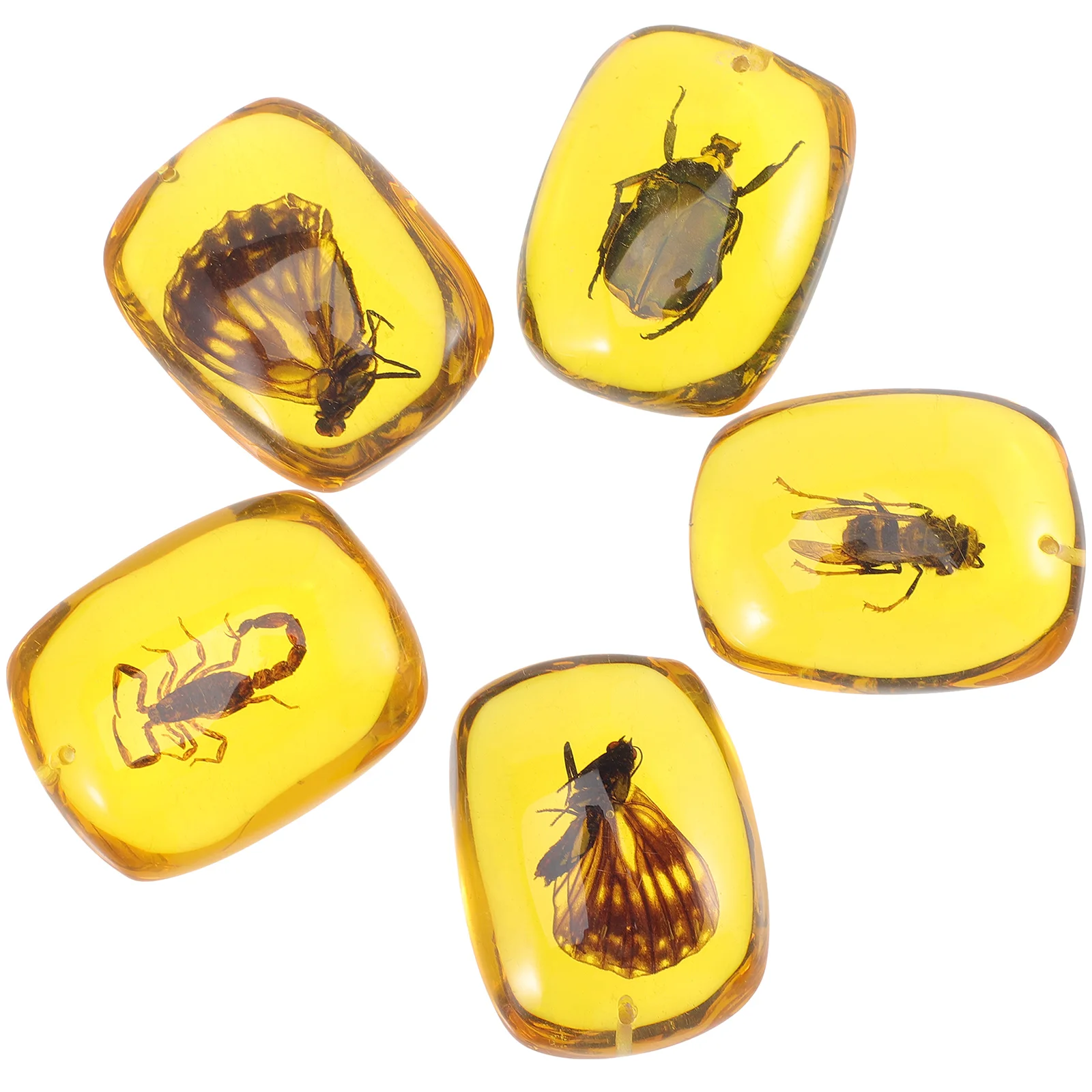 

Amber Specimen Fossil Pendant Specimens Insects Necklace Pendants Crystal Resin Fossilsbutterfly Teethingin Gemstones Bugs Diy