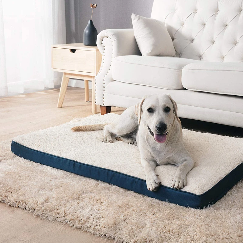 Vergleich Schaum für Hundebetten