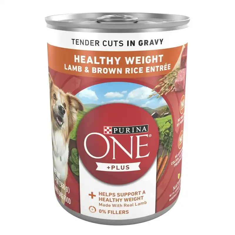 

Lamb and Brown Rice Wet Dog Food, 13 oz Cans (12 Pack)