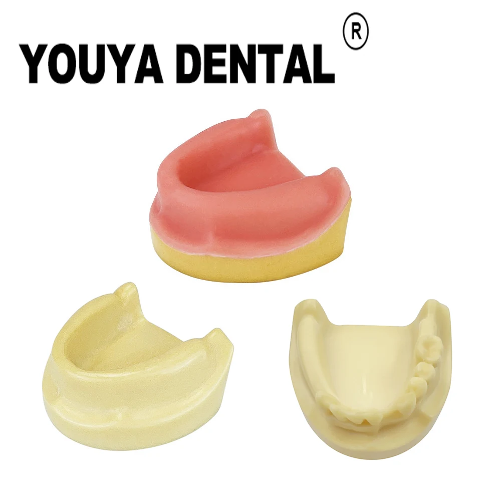 

Dental Implant Teaching Model Dental Partial Filling Implant Models for Dentist Technician Studying Training Demonstration Tool