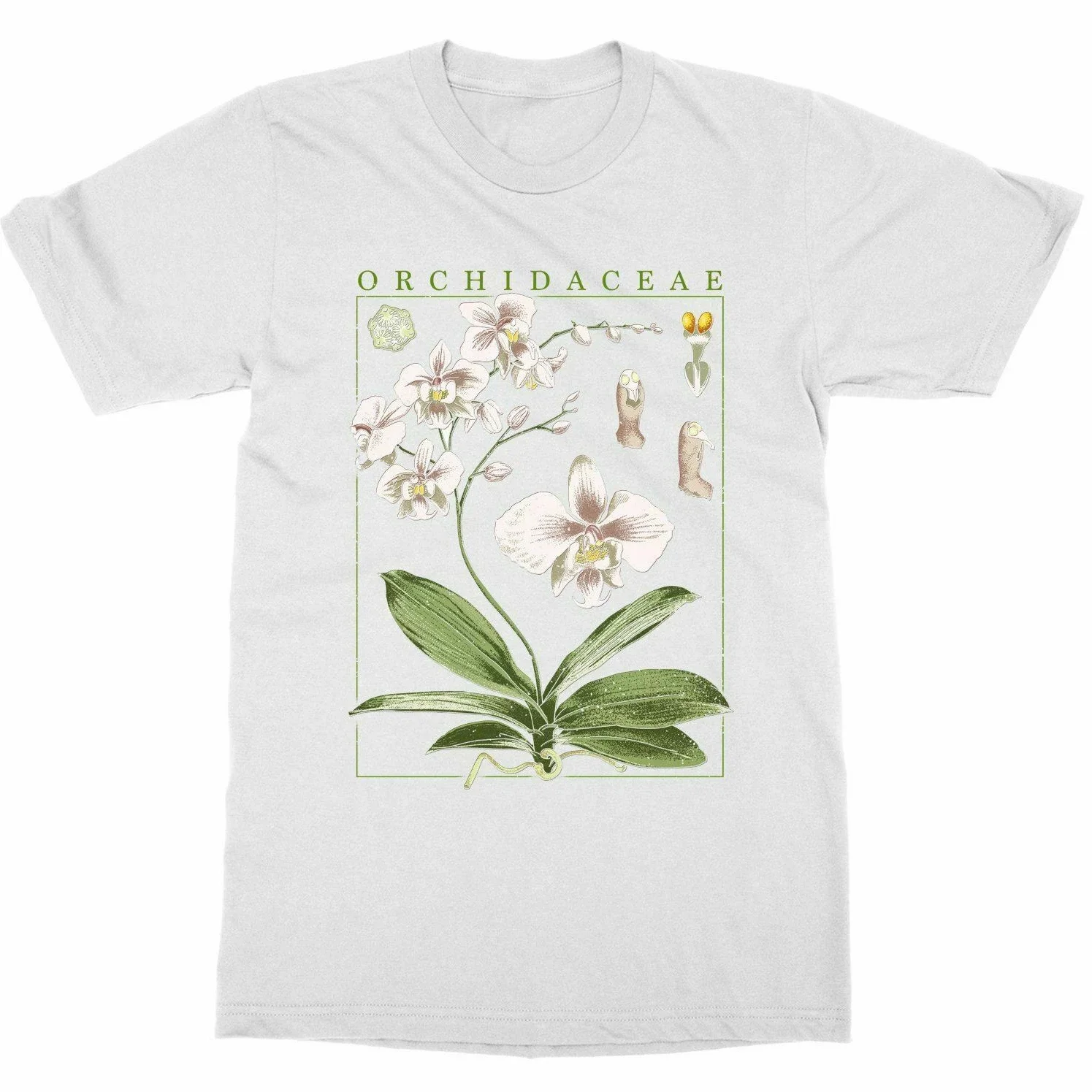 Футболка с принтом Botany Plant Orchid Bloom Fruit Flower Grow 100% хлопок повседневная мужская
