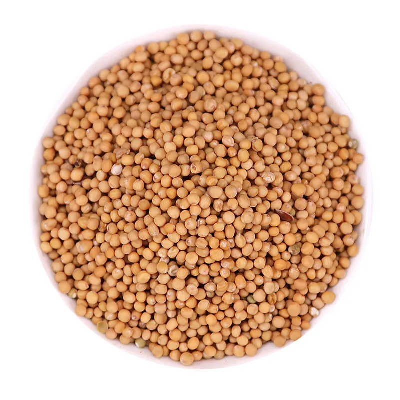 

Bai Jie Zi White Mustard Fruit Semen Sinapis