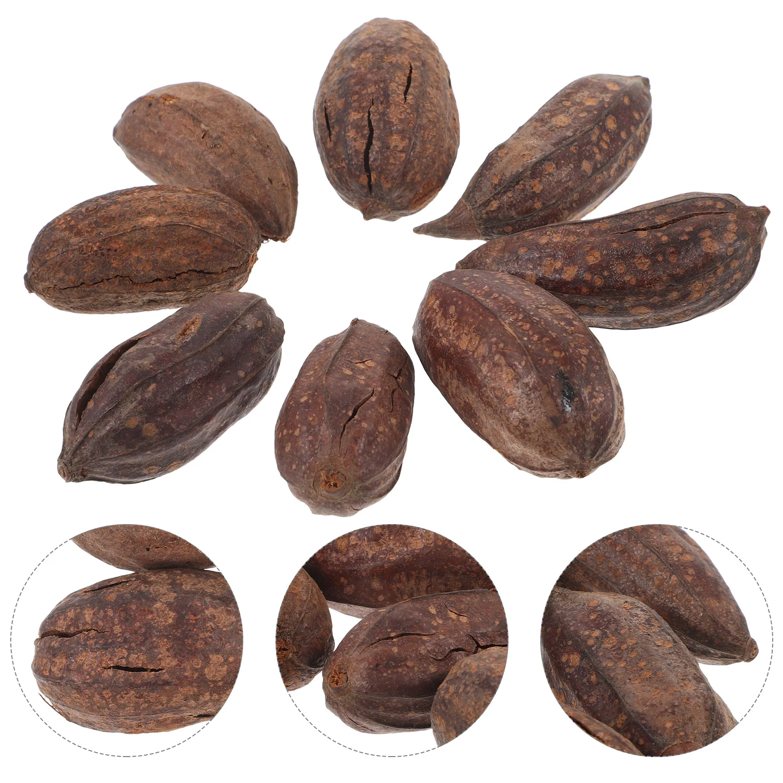 

8 Pcs Parrot Chewing Fruit Toy Bird Shredding Parrots Dried Bite Toys Accessories Cage