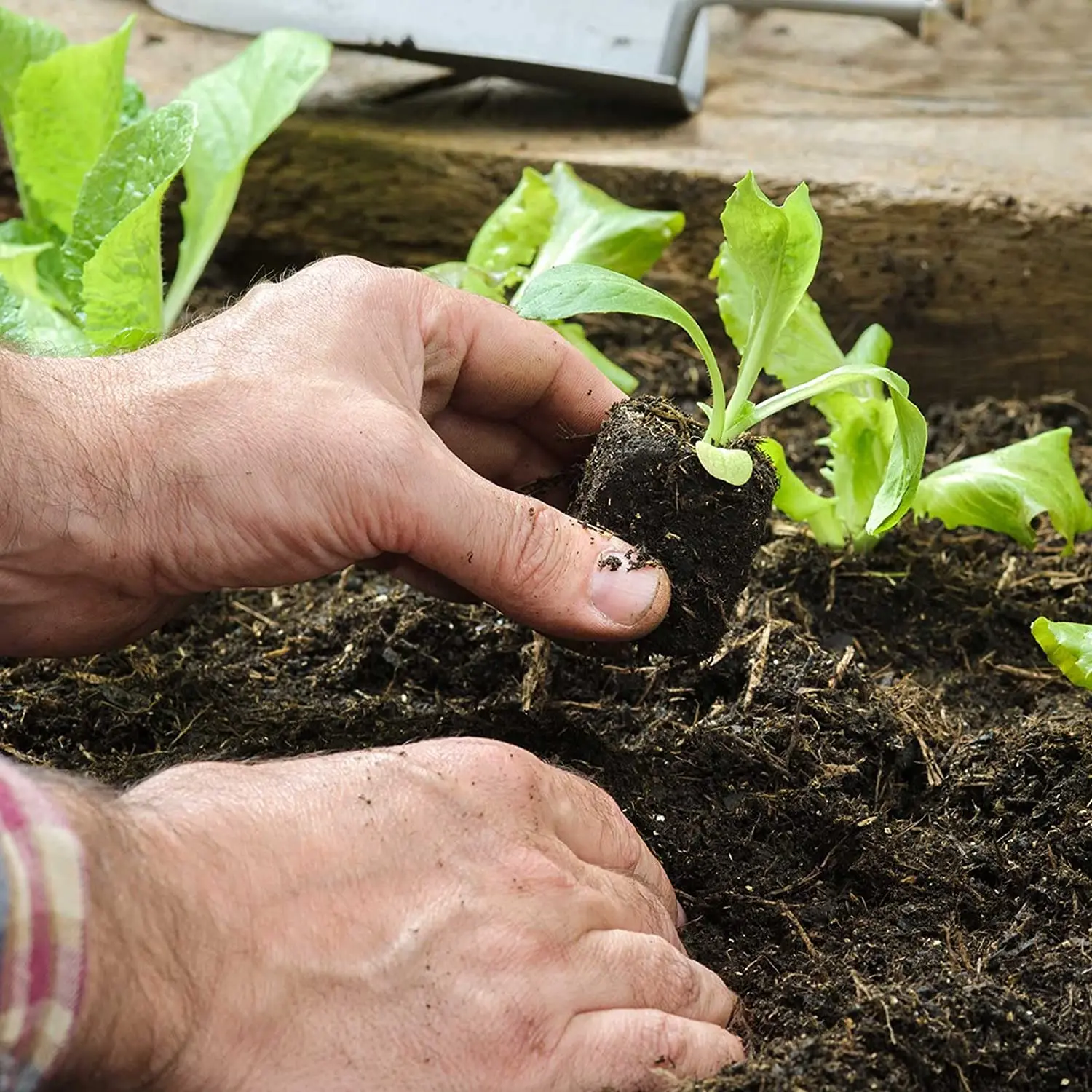 Стартовый набор семян 6/12 ячеек коробка для выращивания подносы рассады